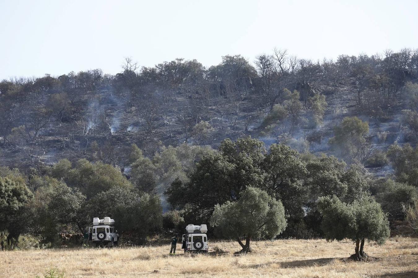 La extinción del incendio forestal de Villaharta, en imágenes