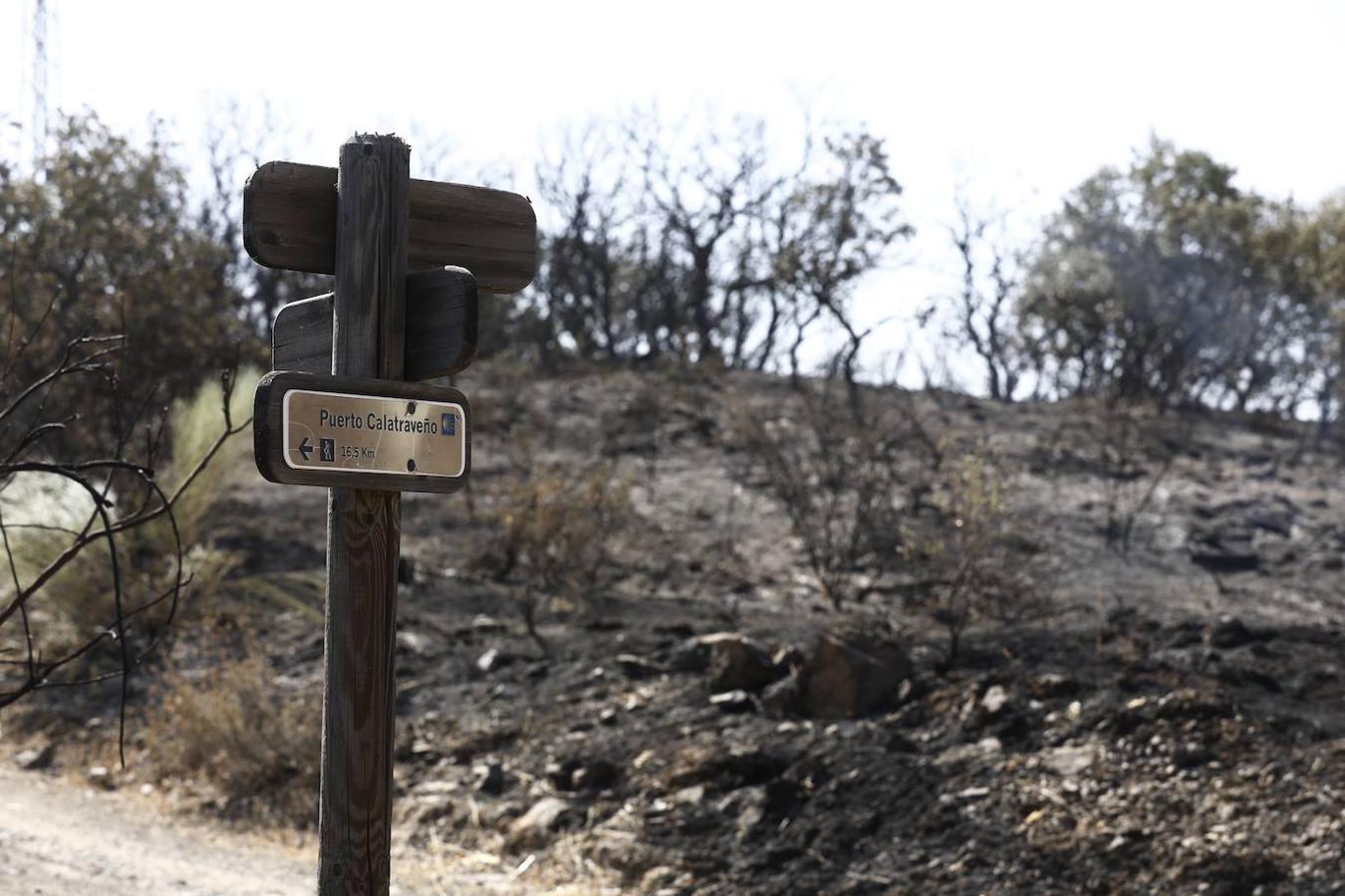 La extinción del incendio forestal de Villaharta, en imágenes