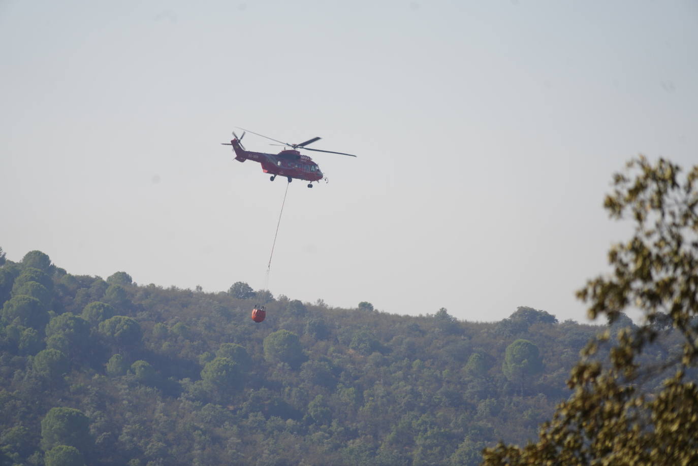 El incendio forestal de Alcaracejos, en imágenes