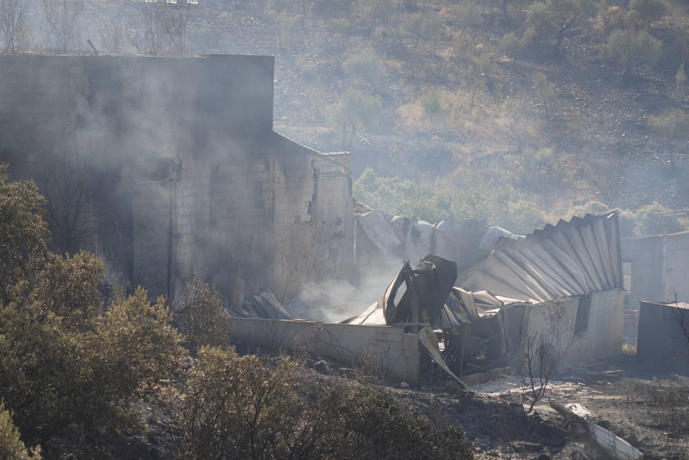 El incendio forestal de Alcaracejos, en imágenes