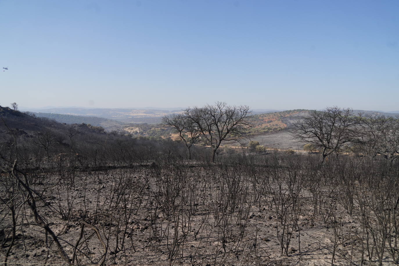 El incendio forestal de Alcaracejos, en imágenes