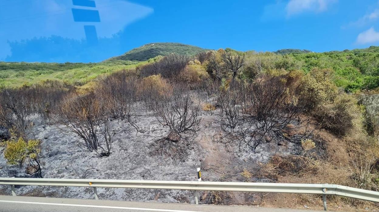 Fotos: El incendio de Tarifa se reactiva a causa del viento