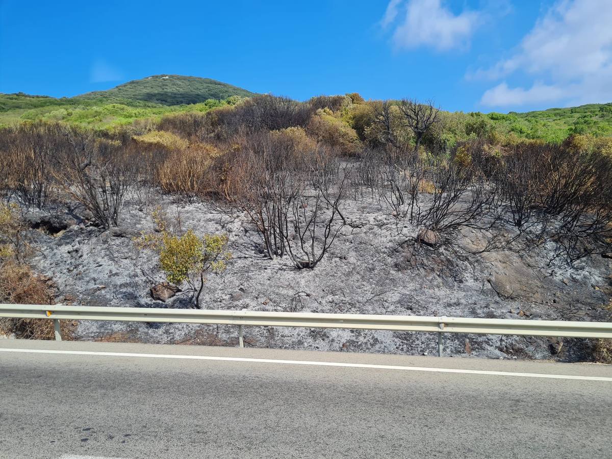 Fotos: El incendio de Tarifa se reactiva a causa del viento