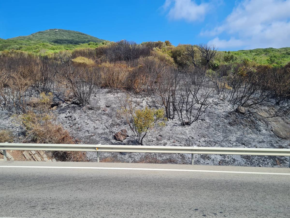 Fotos: El incendio de Tarifa se reactiva a causa del viento