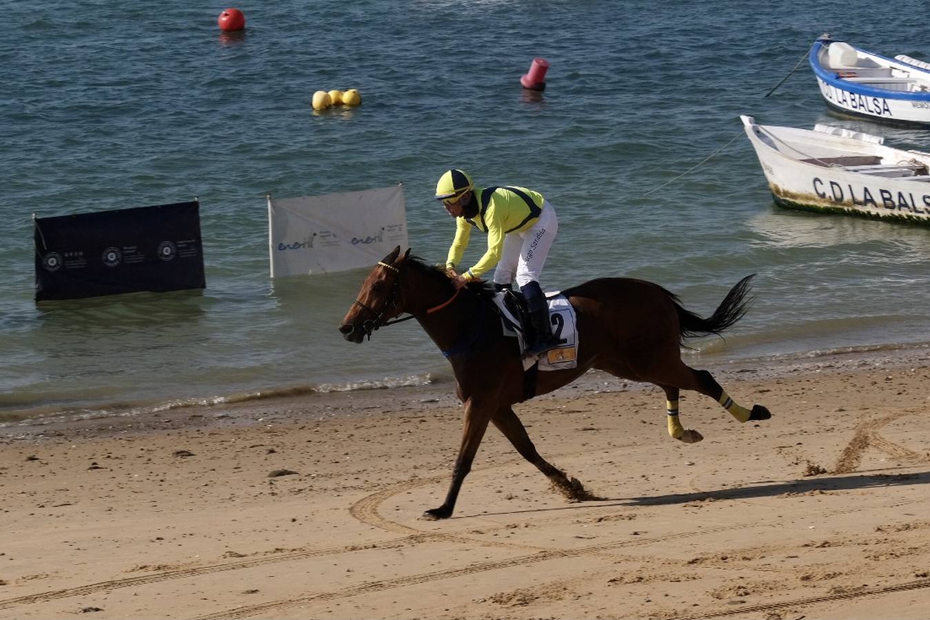 FOTOS: Carreras de Caballos de Sanlúcar. Último día del Segundo ciclo