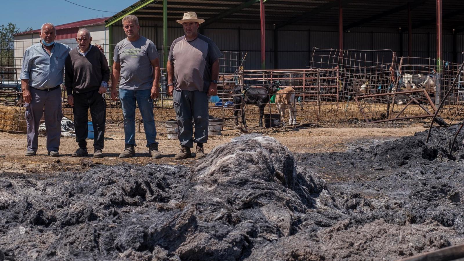 Así está la sierra de la Paramera tras el incendio de Ávila