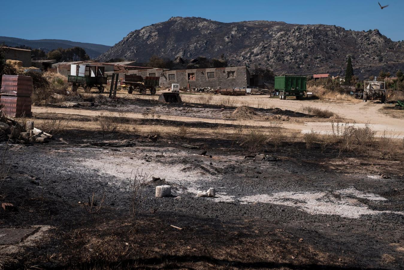 Así está la sierra de la Paramera tras el incendio de Ávila