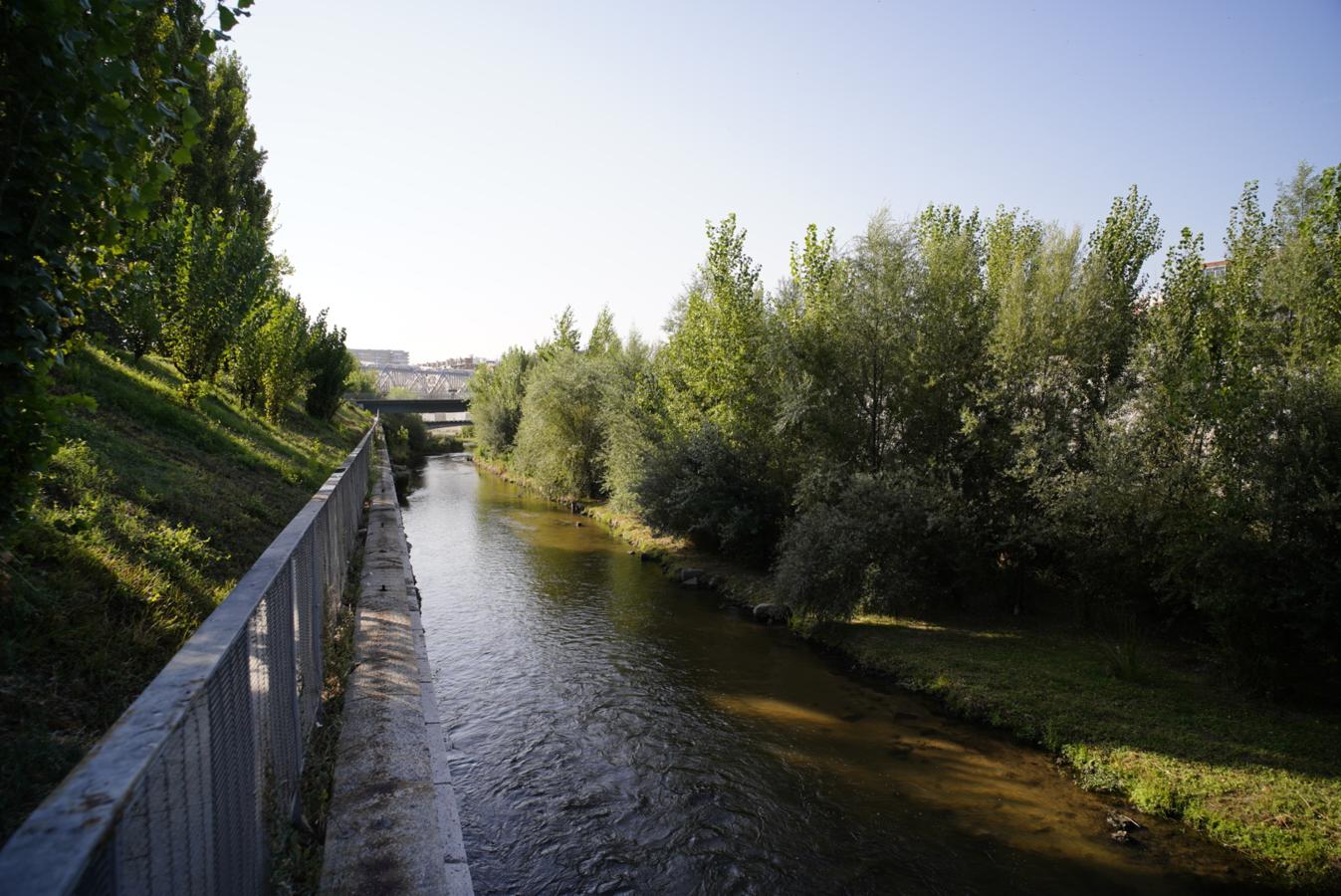 11.. Este grado de expansión de la naturaleza ha superado las previsiones, no se esperaba hasta 2023