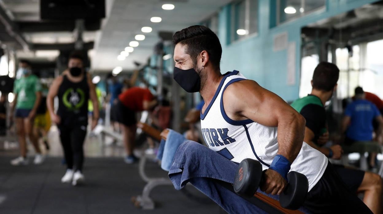 La vuelta a los gimnasios de Córdoba, en imágenes