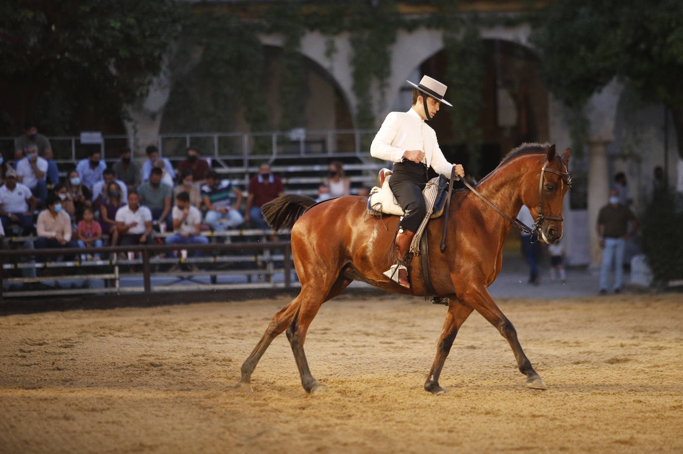 El arranque de la Copa de España de Doma Vaquera en Córdoba, en imágenes