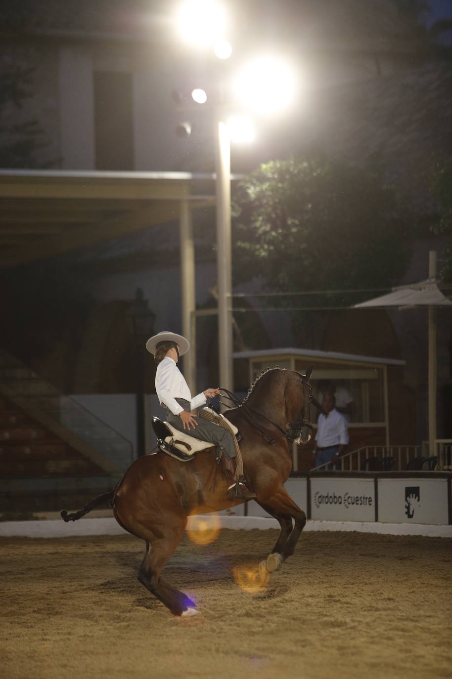 El arranque de la Copa de España de Doma Vaquera en Córdoba, en imágenes