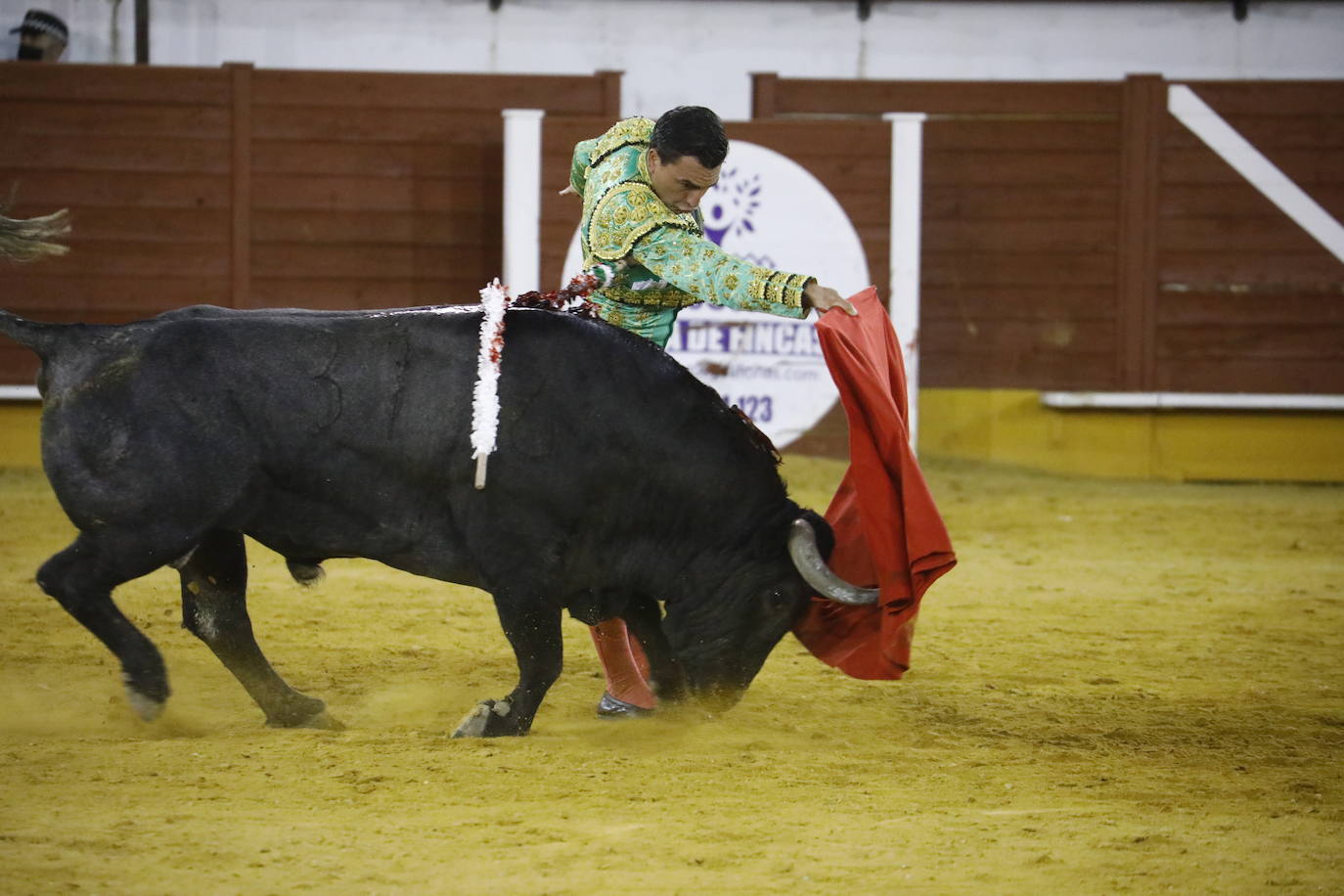 La corrida de toros en Priego de Córdoba, en imágenes