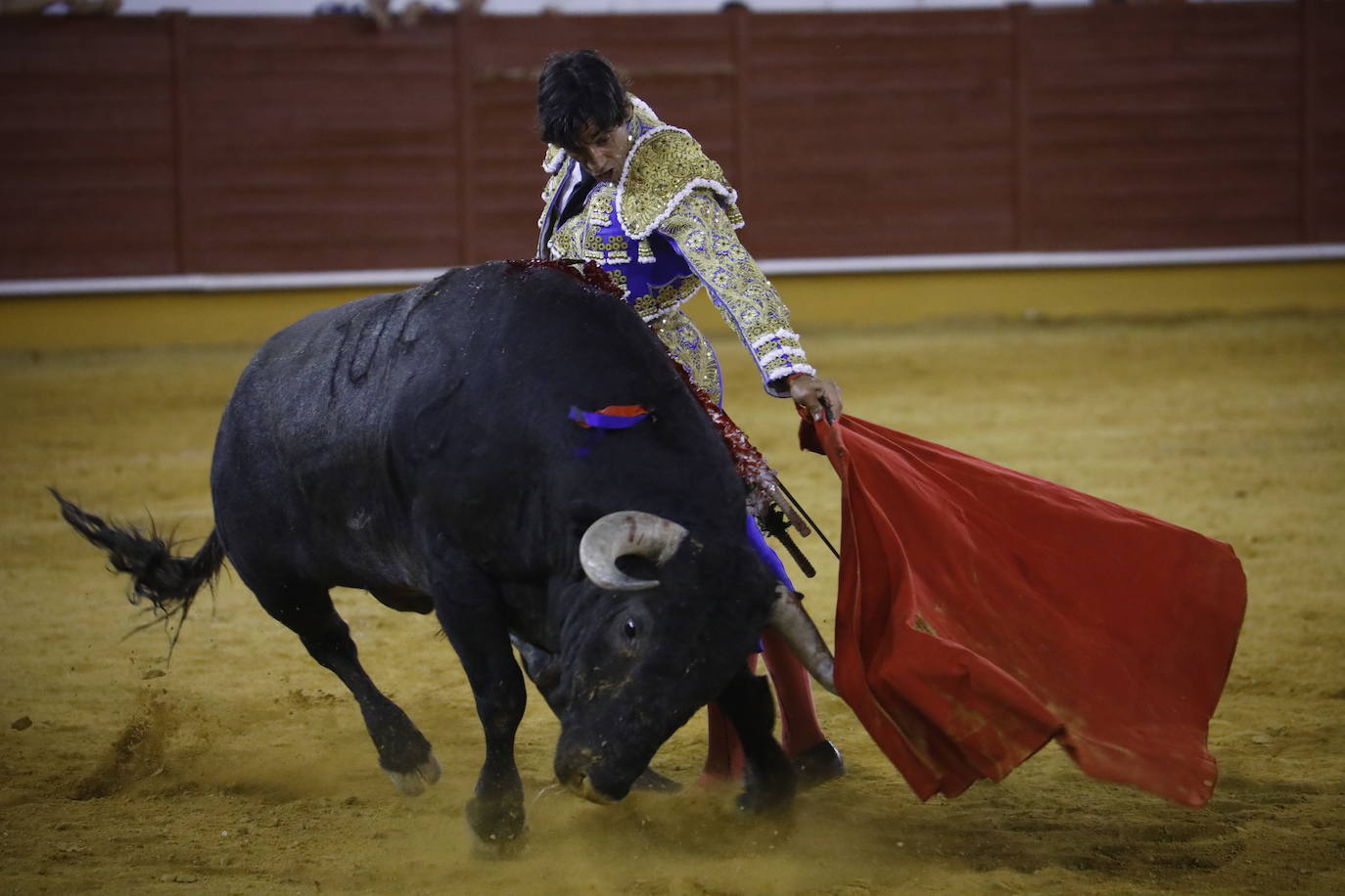 La corrida de toros en Priego de Córdoba, en imágenes