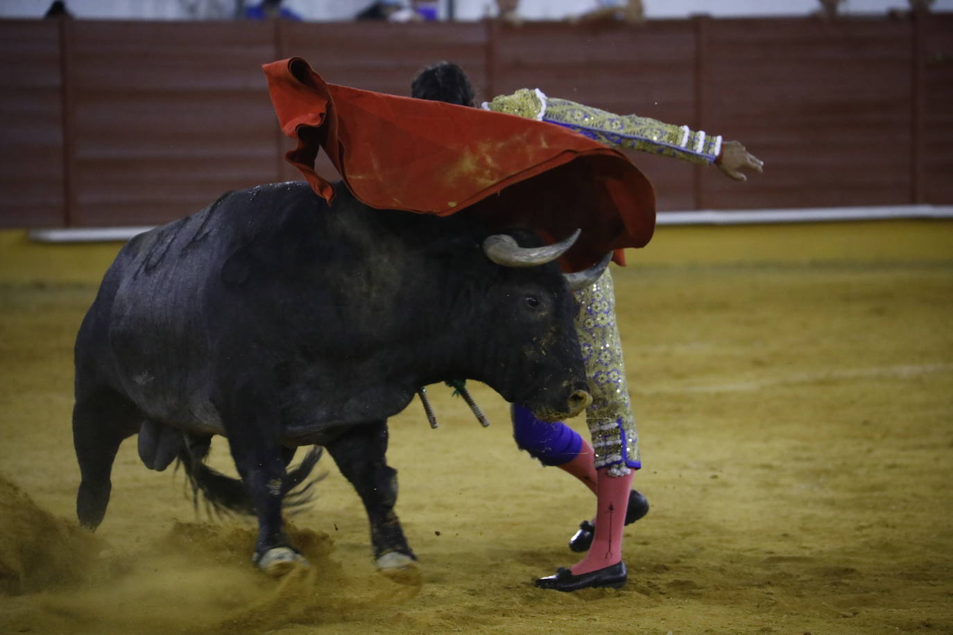 La corrida de toros en Priego de Córdoba, en imágenes