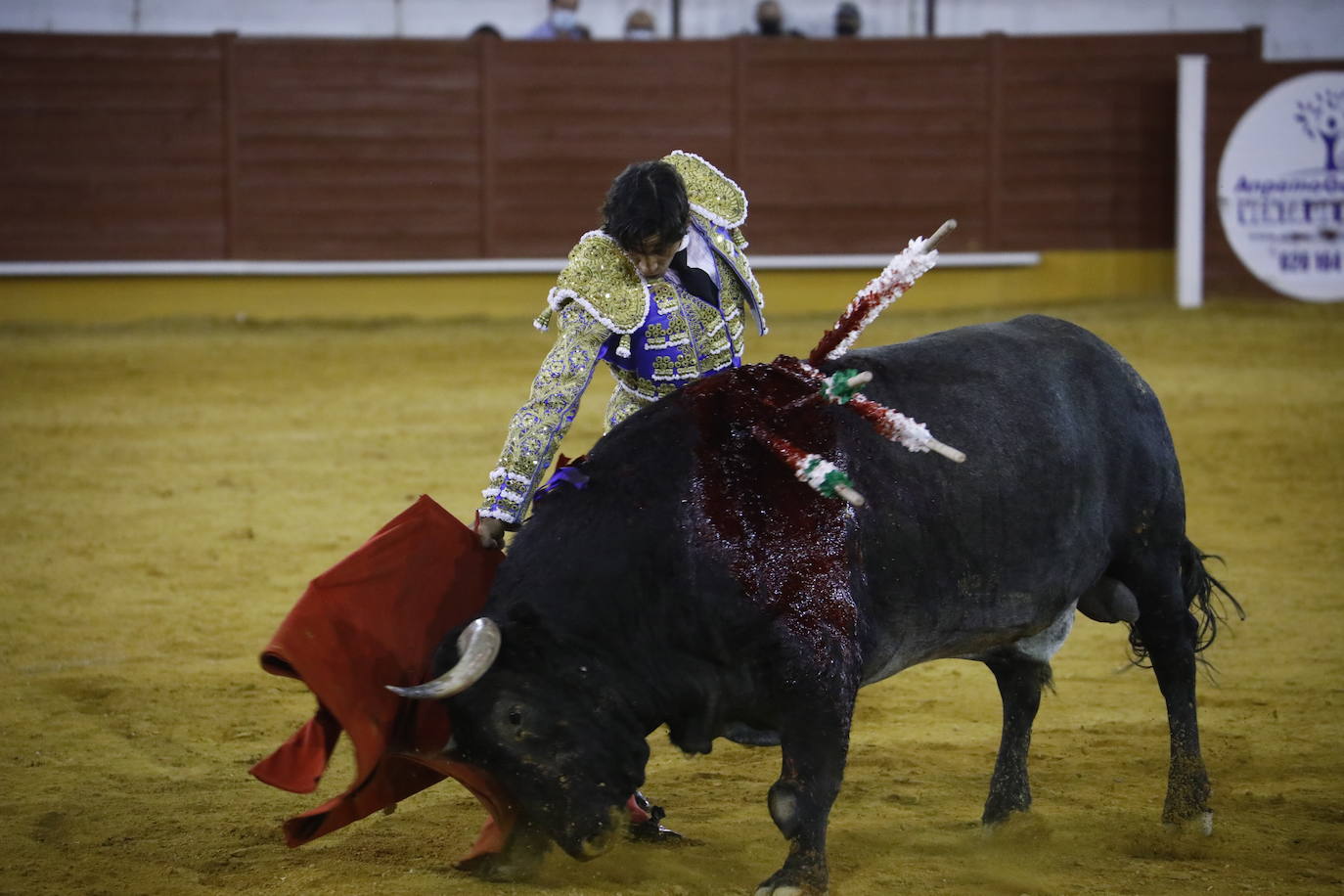 La corrida de toros en Priego de Córdoba, en imágenes