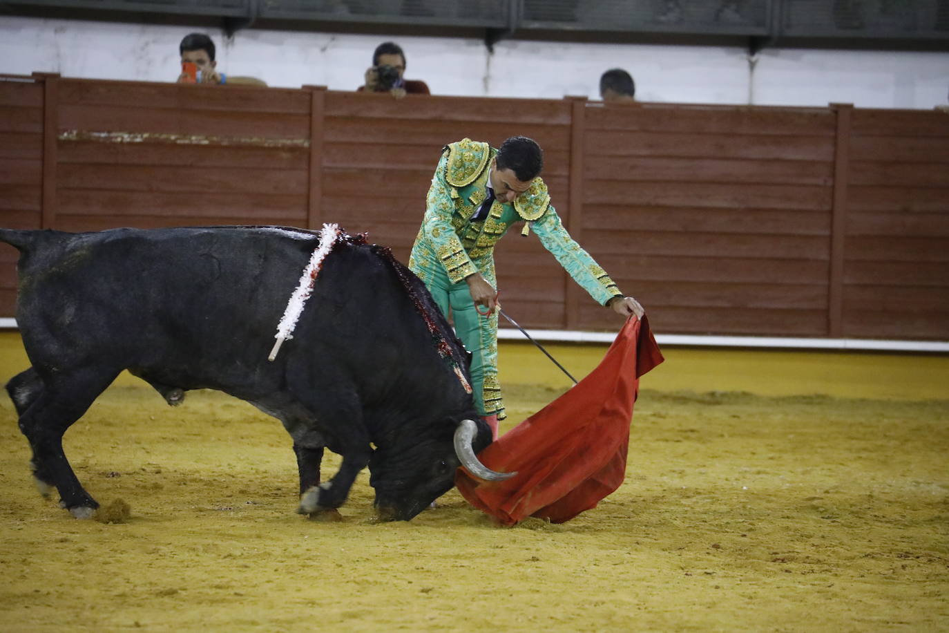 La corrida de toros en Priego de Córdoba, en imágenes