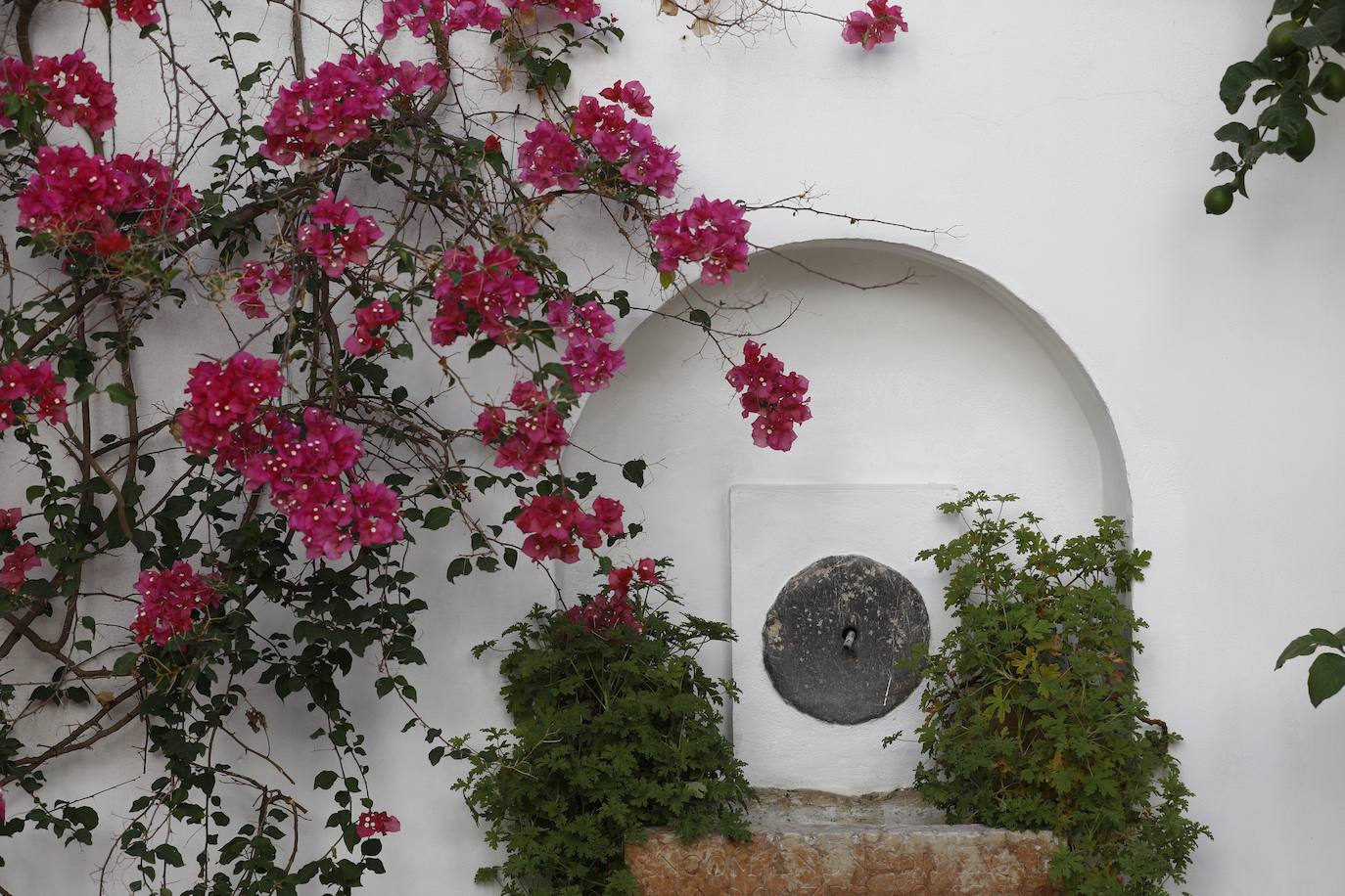 La reapertura de la Casa de las Cabezas de Córdoba, en imágenes