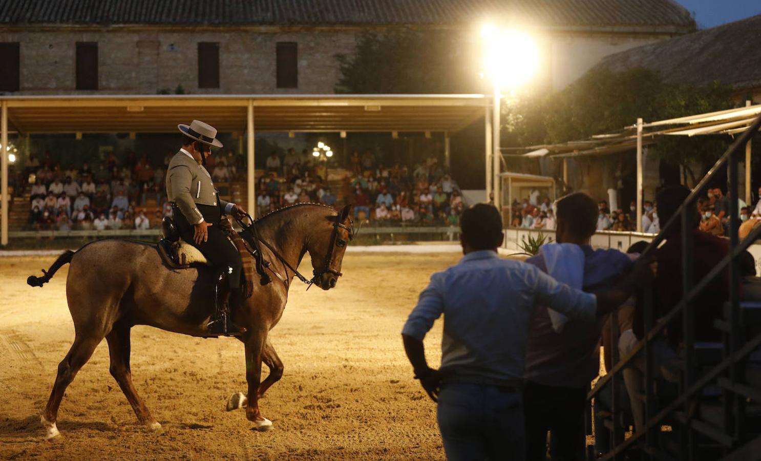 La final del Concurso Nacional de Doma Vaquera en Córdoba, en imágenes