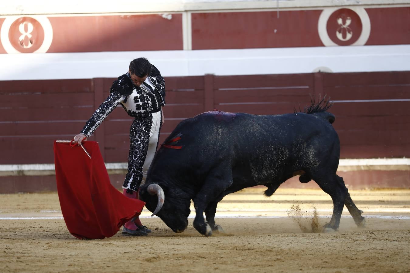 Toros | En imágenes, el triunfo de Aguado y Juan Ortega en Lucena