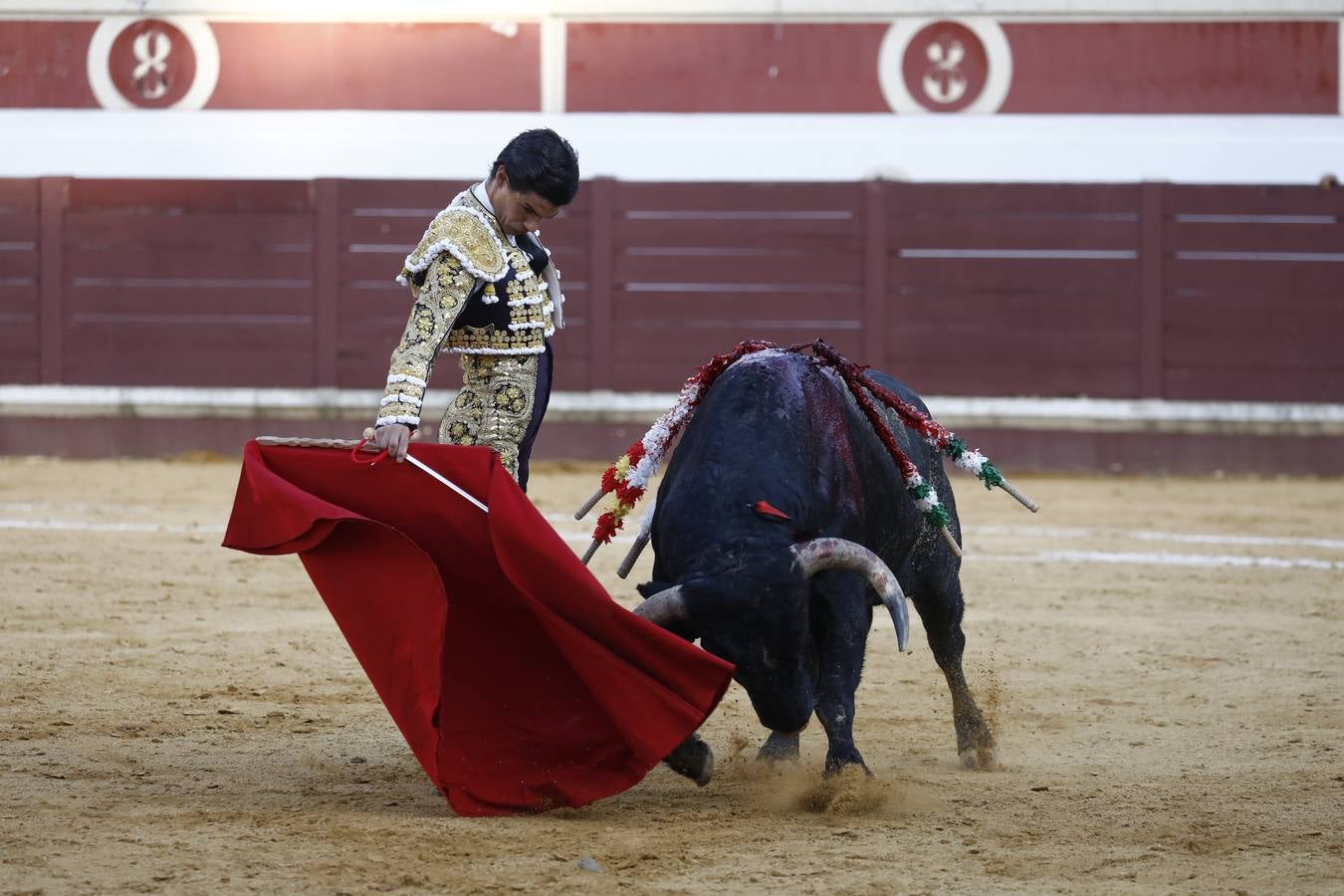 Toros | En imágenes, el triunfo de Aguado y Juan Ortega en Lucena