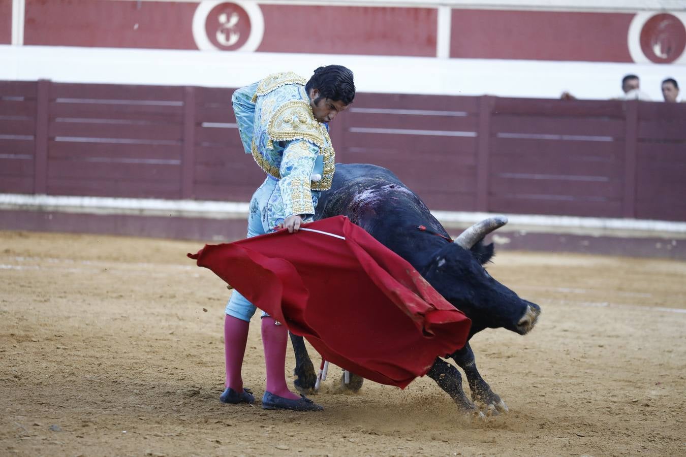 Toros | En imágenes, el triunfo de Aguado y Juan Ortega en Lucena