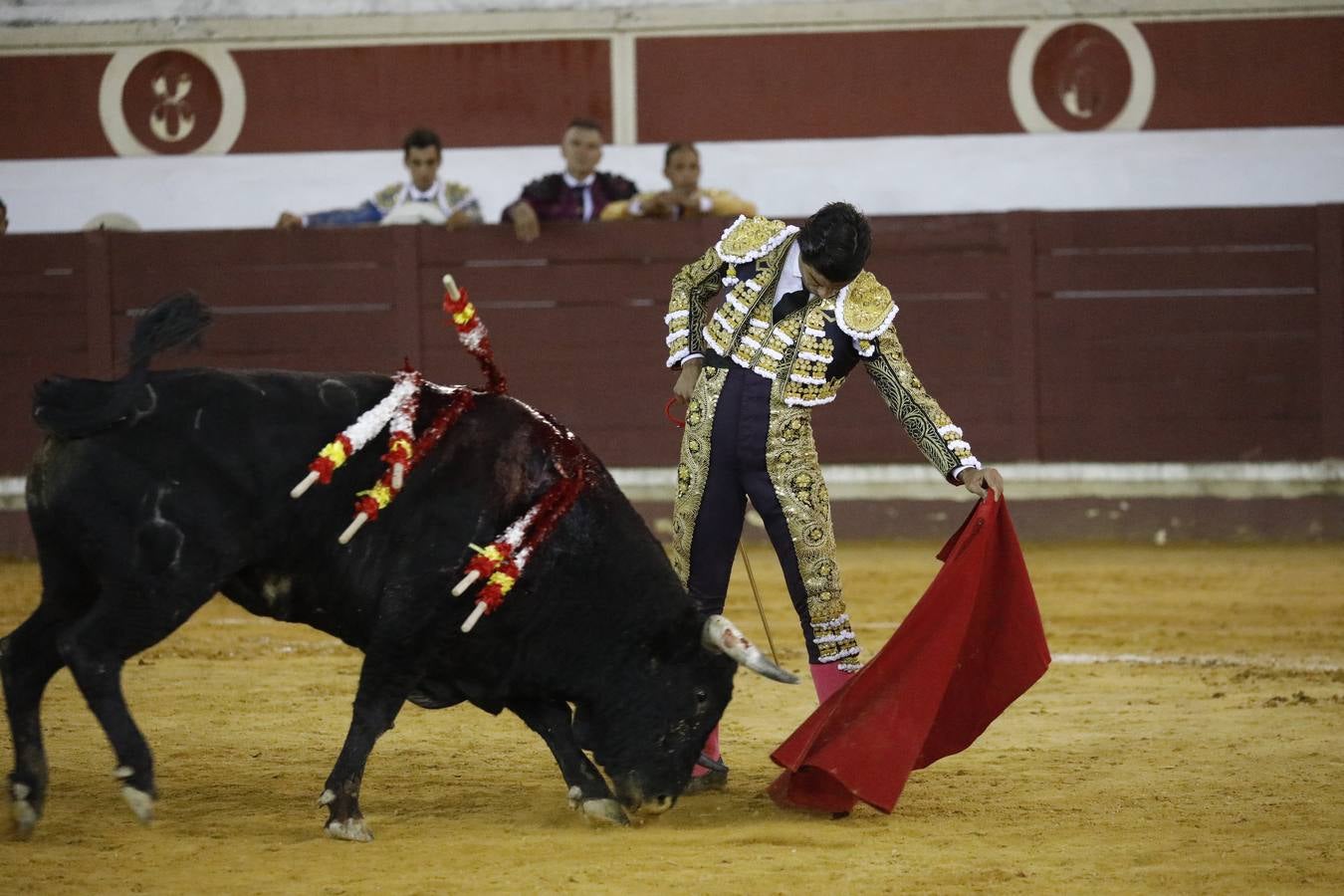 Toros | En imágenes, el triunfo de Aguado y Juan Ortega en Lucena