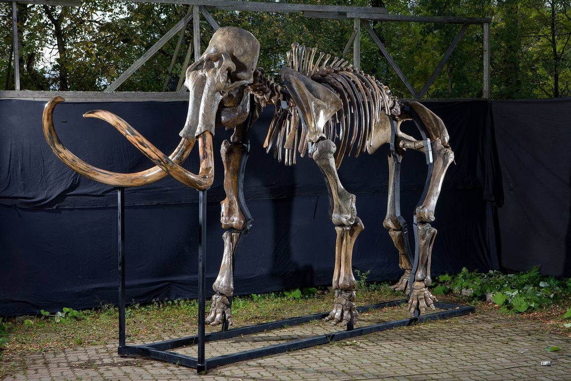 Programación de CaixaForum en esta nueva temporada