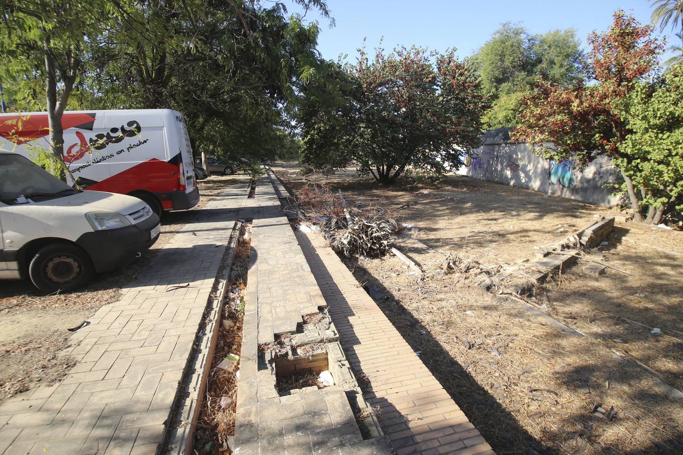 Fotogalería: Desperfectos, abandono y suciedad en la Cartuja