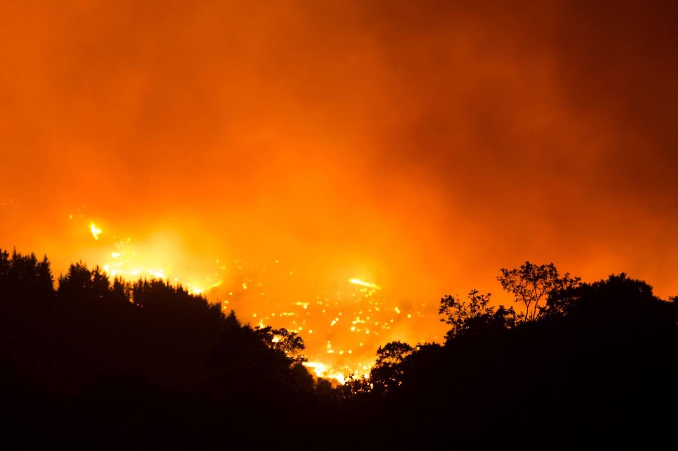 En imágenes, Sierra Bermeja, el peor incendio de los últimos tiempos en Andalucía