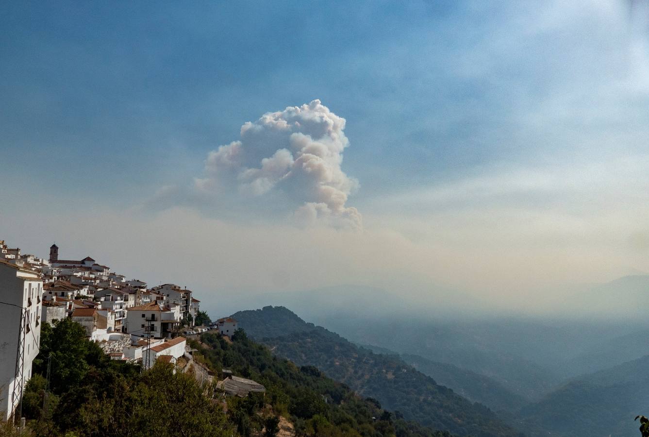 En imágenes, Sierra Bermeja, el peor incendio de los últimos tiempos en Andalucía