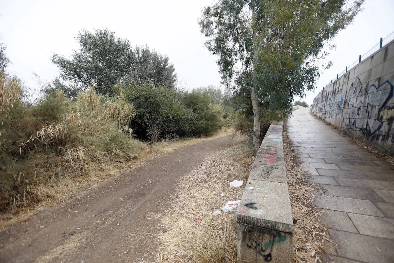 El estado del primer tramo del río que se limpiará en Córdoba, en imágenes