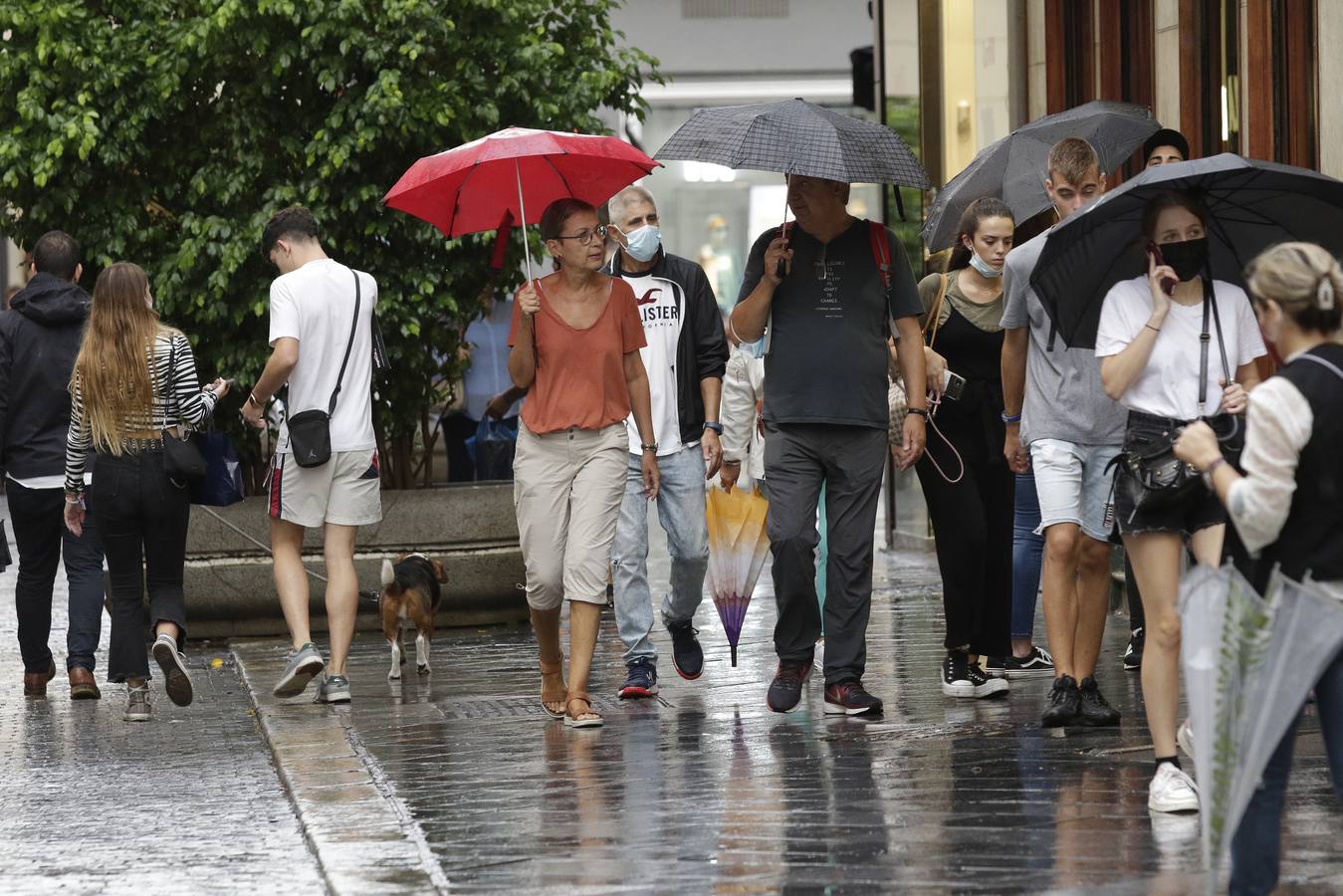 La lluvia deja un acumulado de casi 27 litros por metro cuadrado en Sevilla