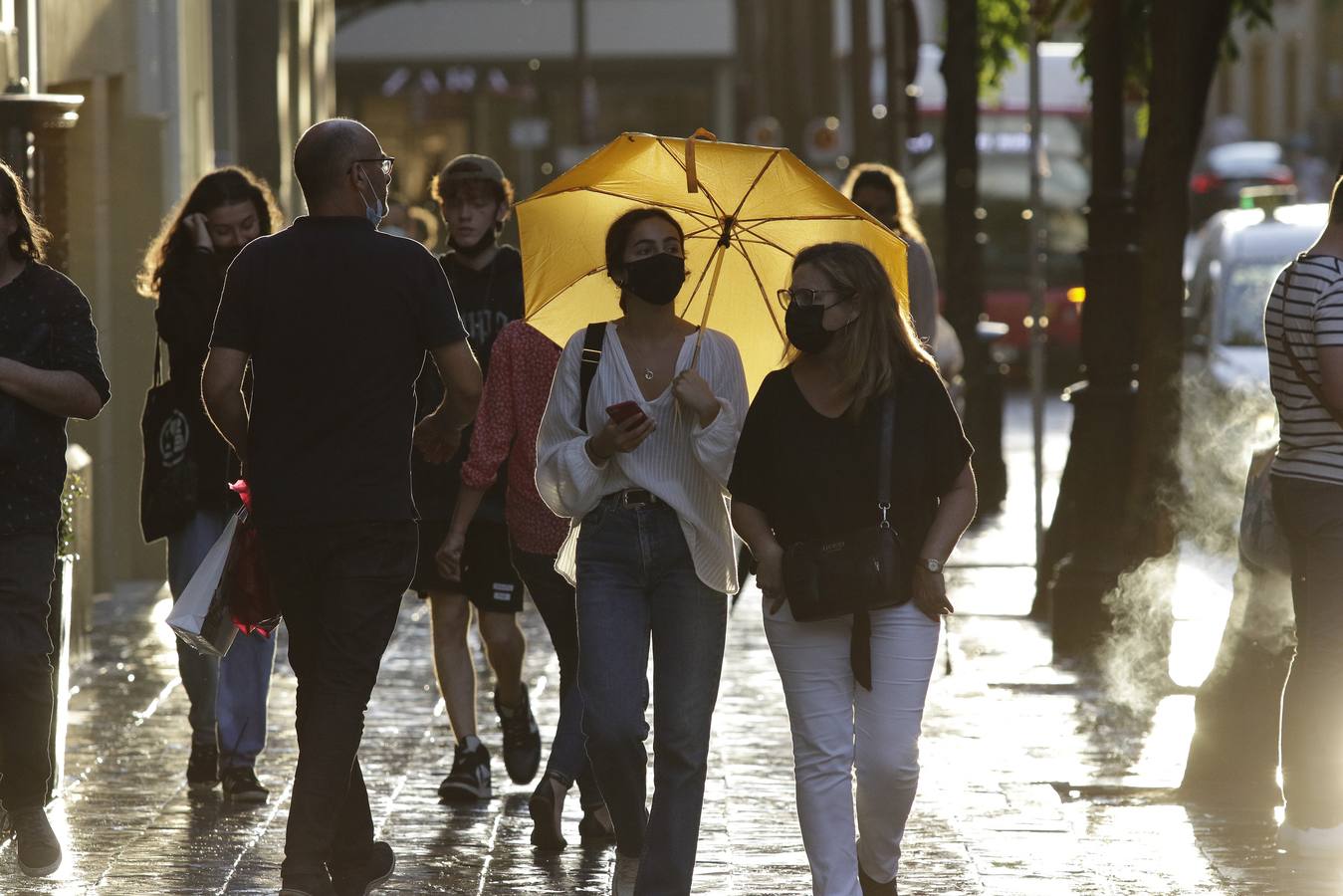 La lluvia deja un acumulado de casi 27 litros por metro cuadrado en Sevilla