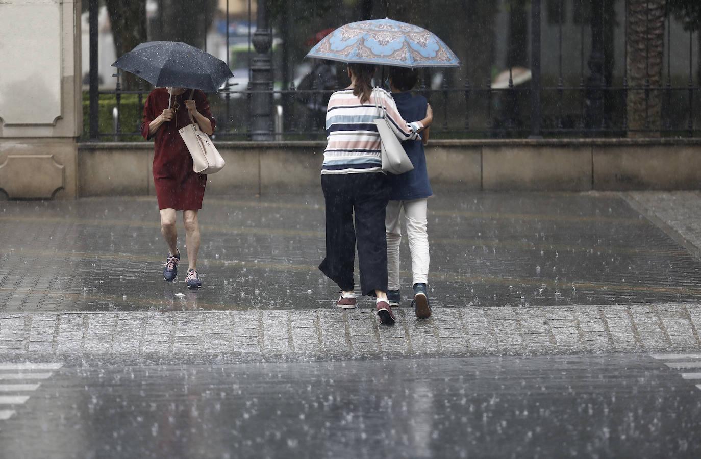 El regreso de las lluvias a Córdoba, en imágenes