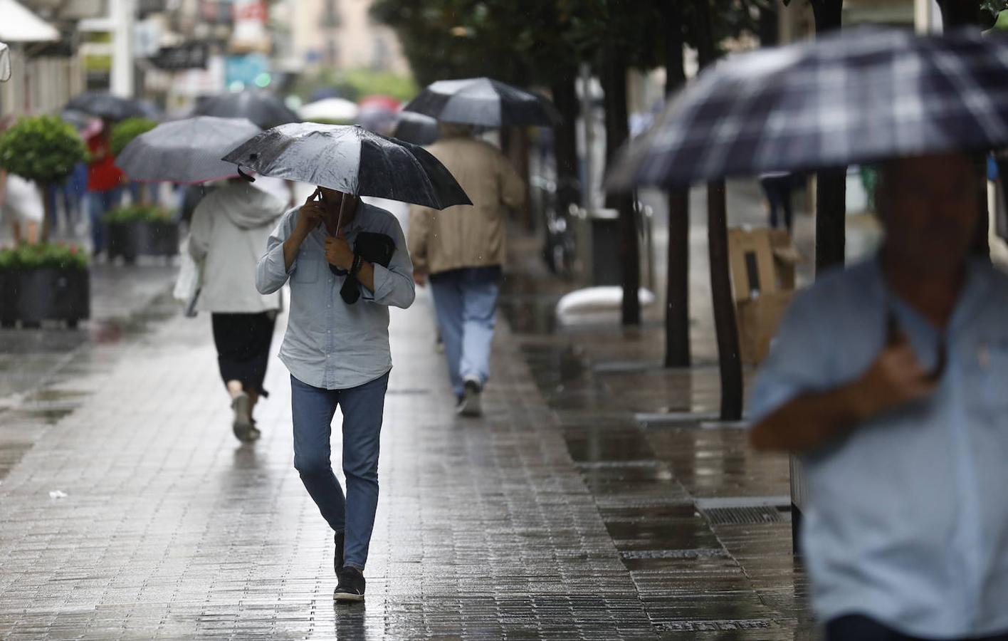 El regreso de las lluvias a Córdoba, en imágenes