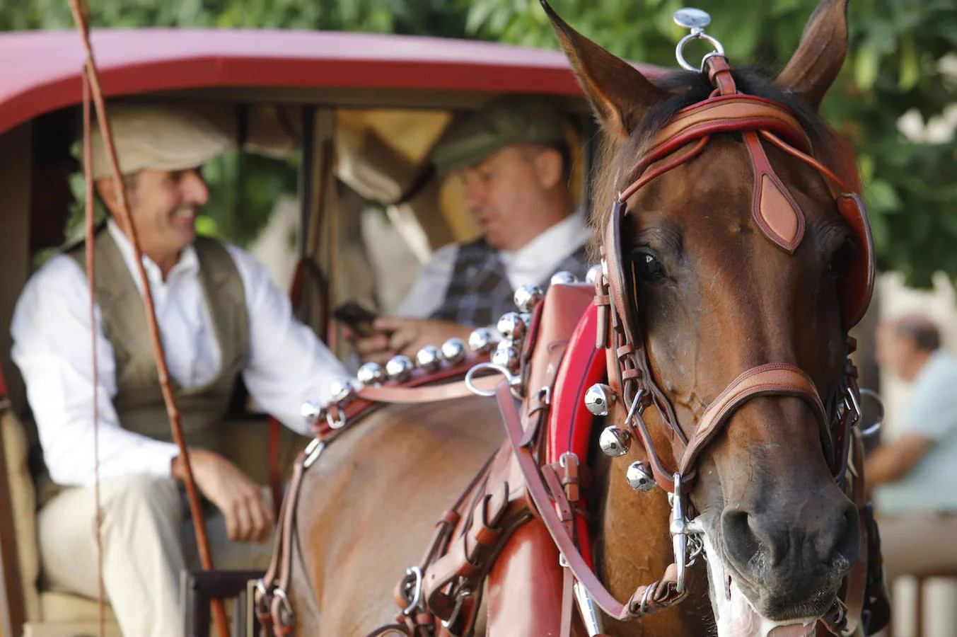 Concurso de Atalaje de Córdoba | La «maravilla» de los carruajes clásicos vuelve a las calles y a Caballerizas