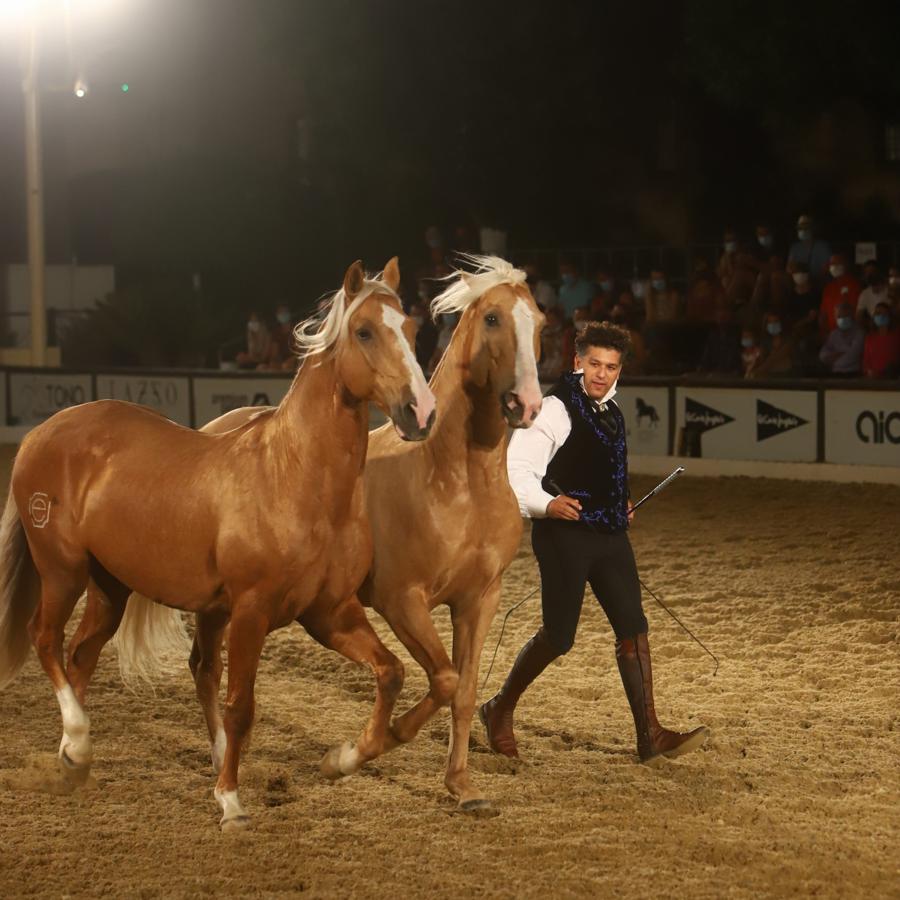 El espectáculo &#039;Armonía Ecuestre&#039; de Cabalcor, en imágenes