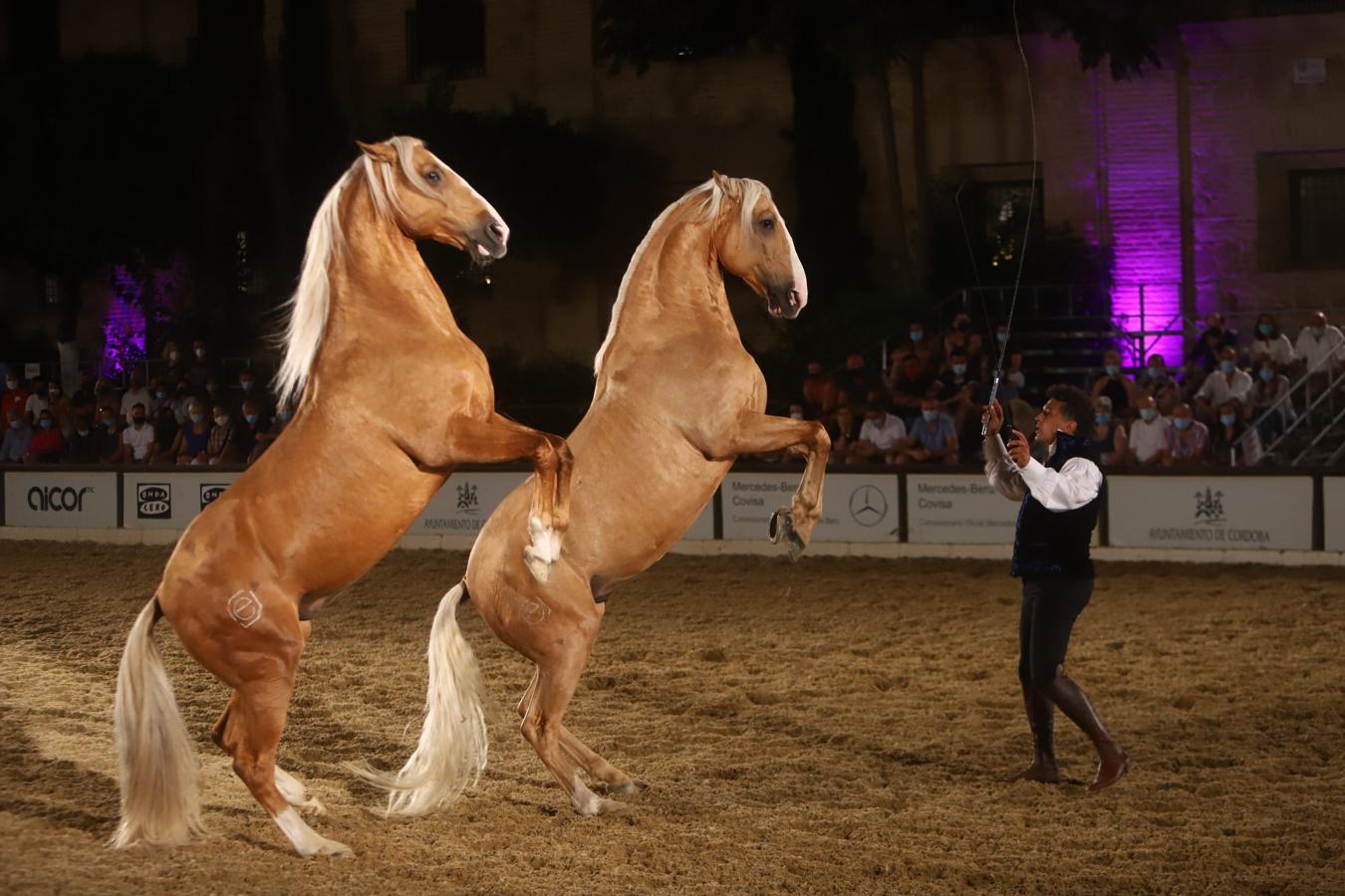 El espectáculo &#039;Armonía Ecuestre&#039; de Cabalcor, en imágenes