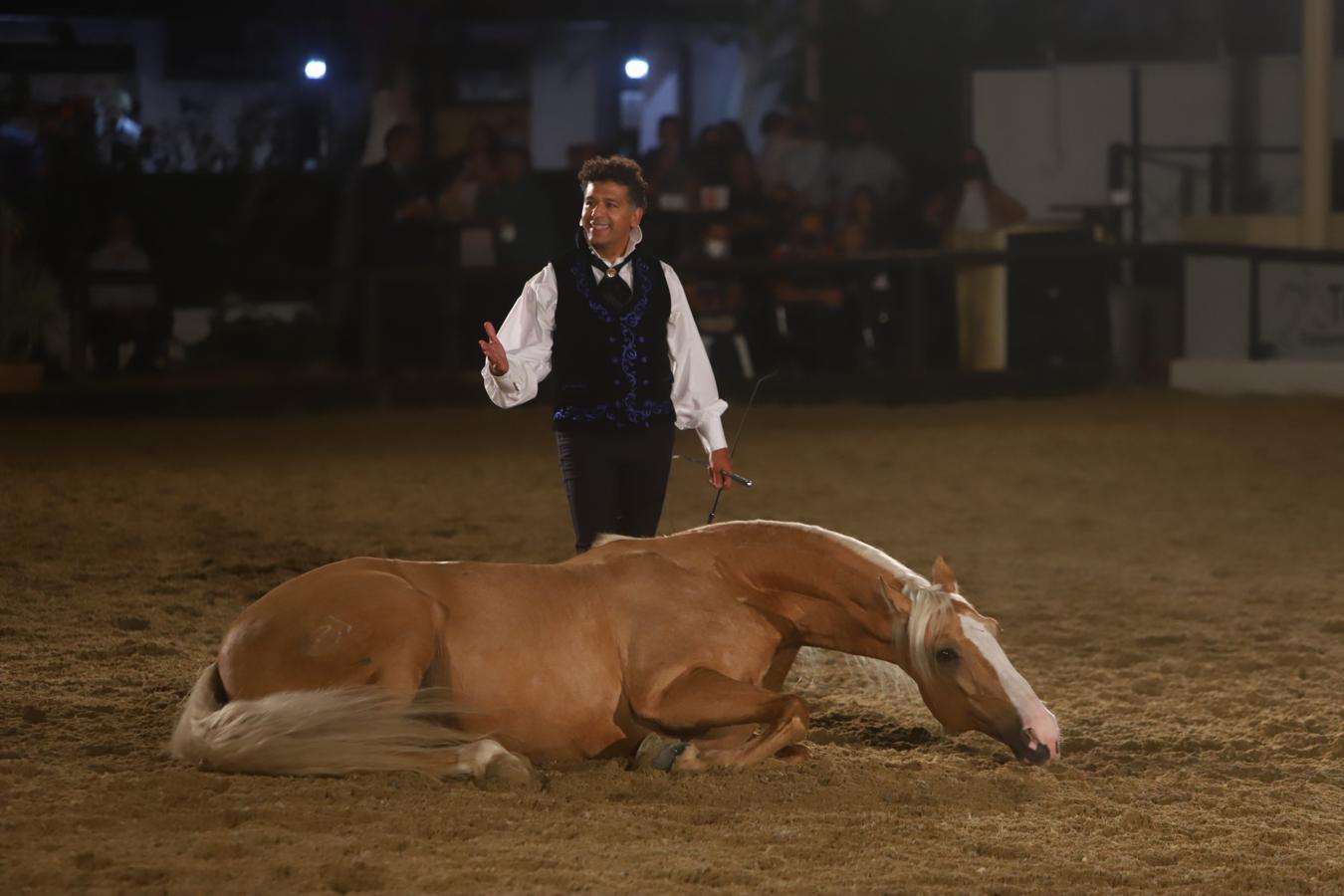 El espectáculo &#039;Armonía Ecuestre&#039; de Cabalcor, en imágenes