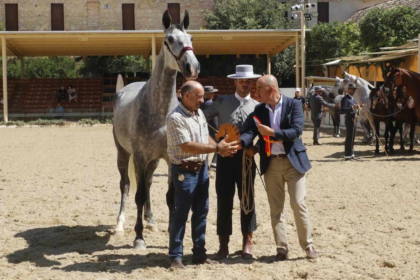 La entrega de Premios Cabalcor 2021 en Caballerizas Reales, en imágenes