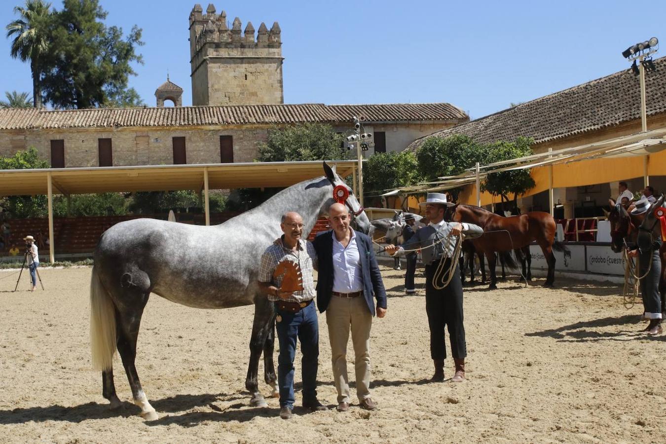 La entrega de Premios Cabalcor 2021 en Caballerizas Reales, en imágenes