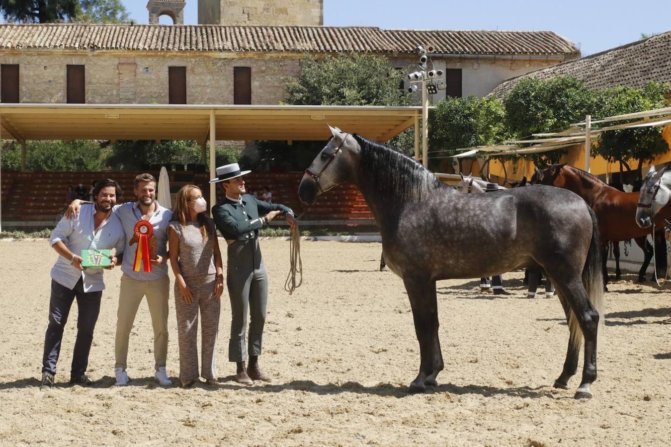 La entrega de Premios Cabalcor 2021 en Caballerizas Reales, en imágenes