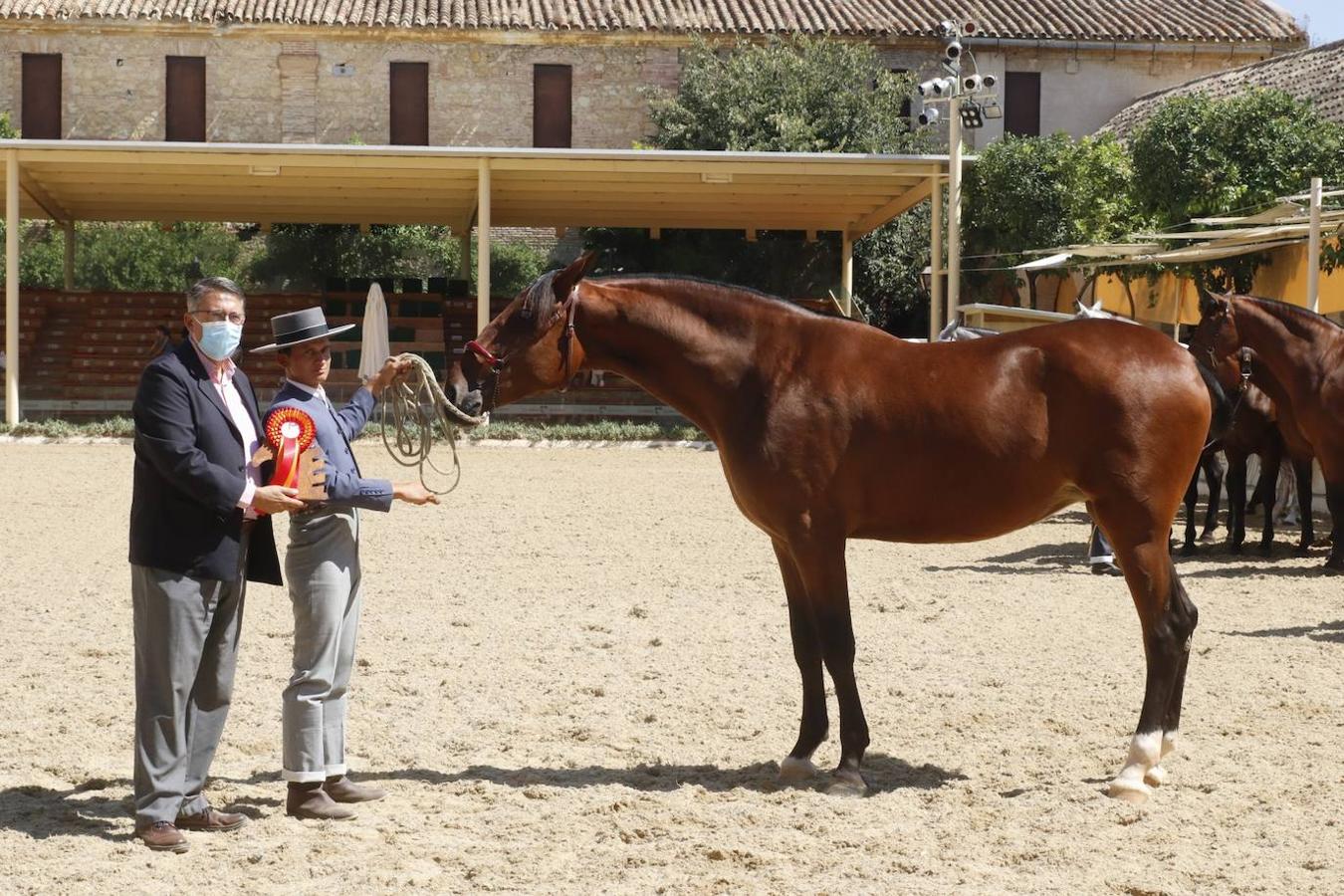 La entrega de Premios Cabalcor 2021 en Caballerizas Reales, en imágenes