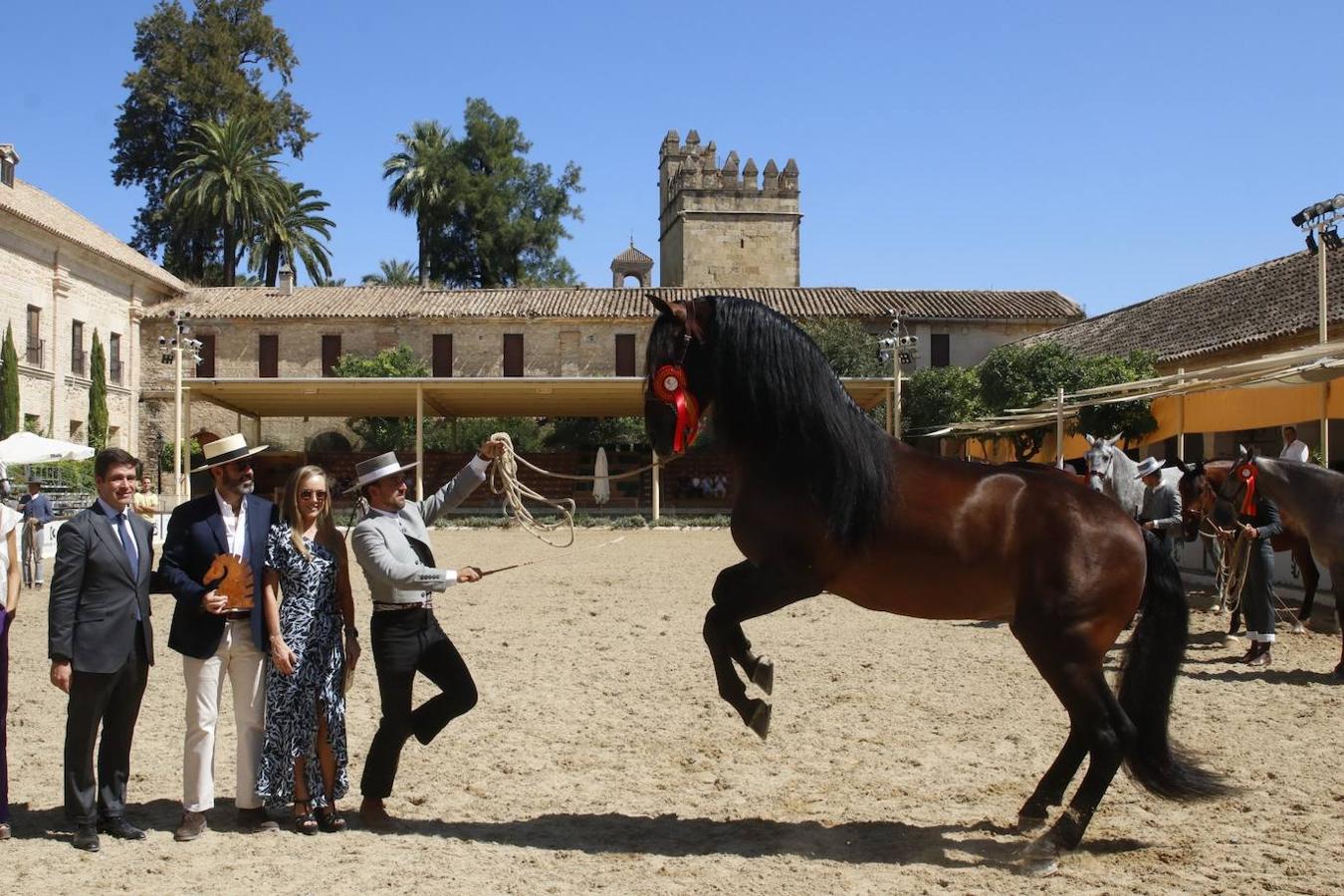 La entrega de Premios Cabalcor 2021 en Caballerizas Reales, en imágenes