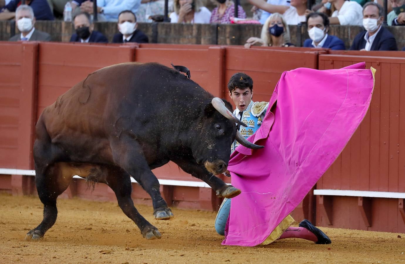 Miguel Perera, en la Maestranza