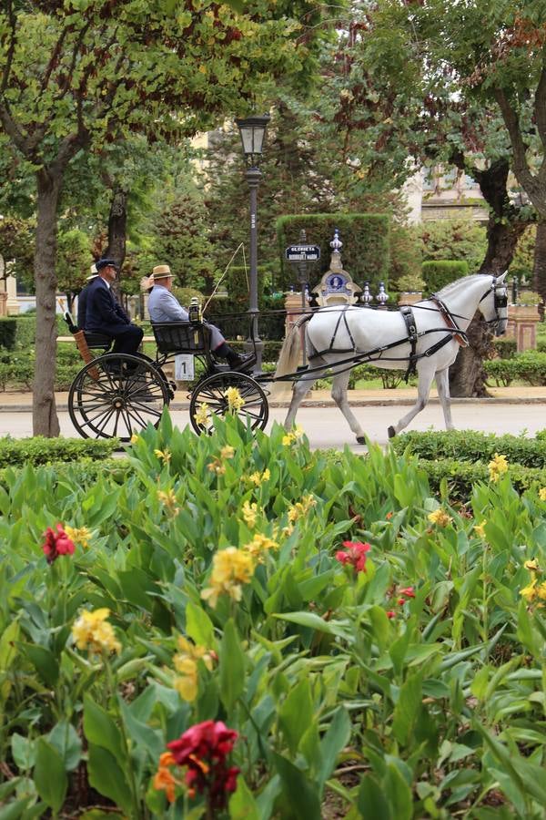 Paseo de carruajes por el Parque de María Luisa