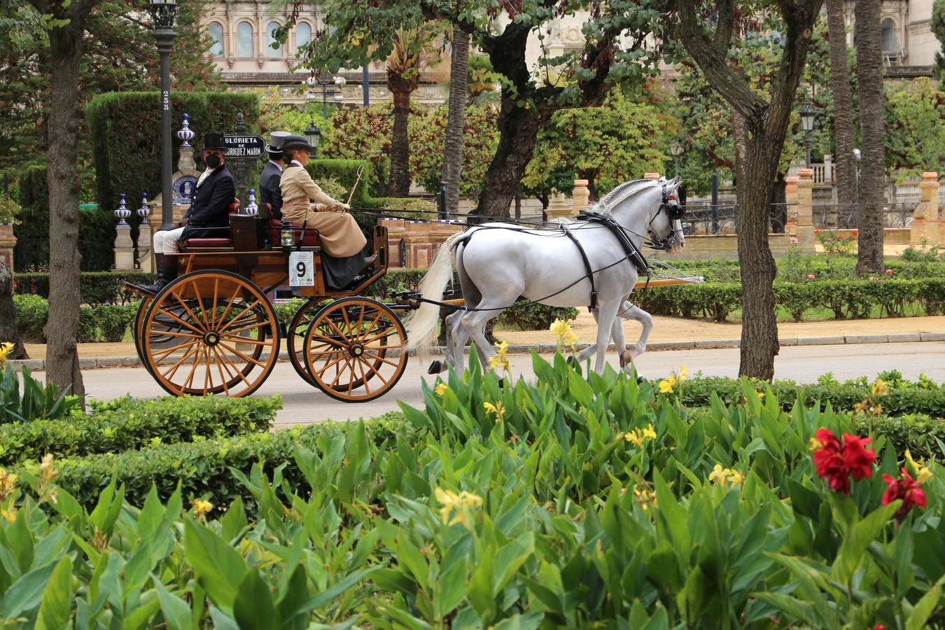 Paseo de carruajes por el Parque de María Luisa