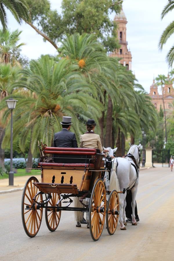 Paseo de carruajes por el Parque de María Luisa