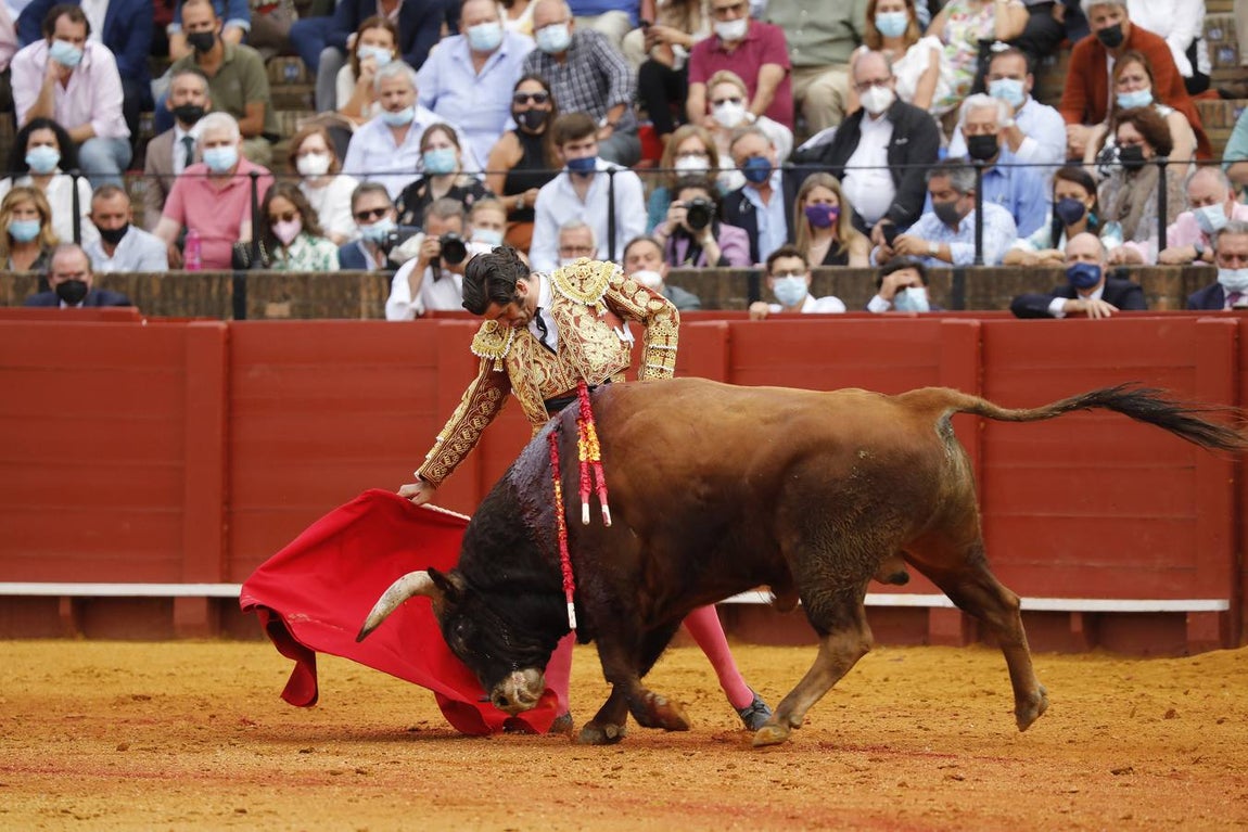 En imágenes, mano a mano de Morante de la Puebla y Juan Ortega en la Maestranza