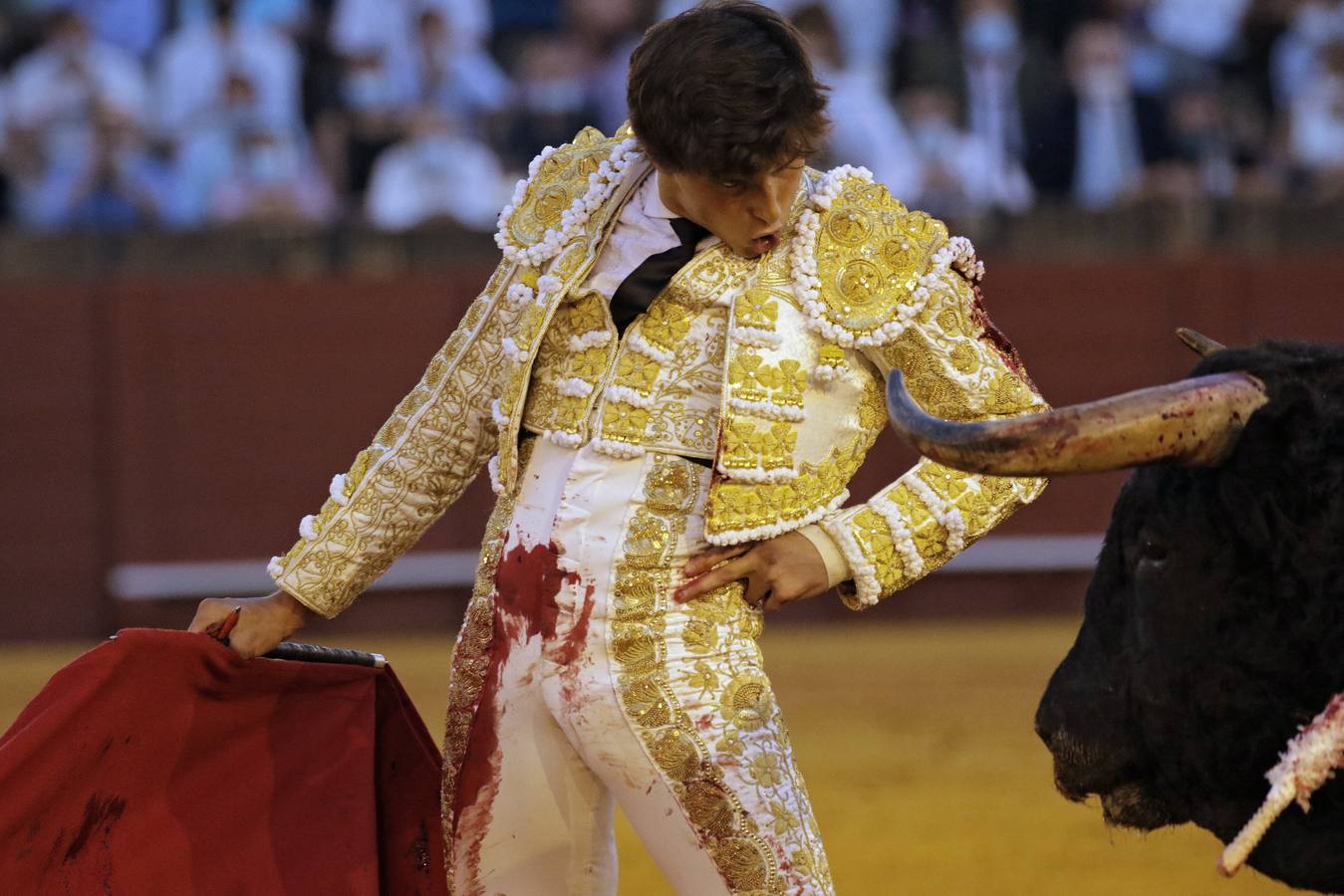 En imágenes, la séptima corrida de la Feria de San Miguel de Sevilla